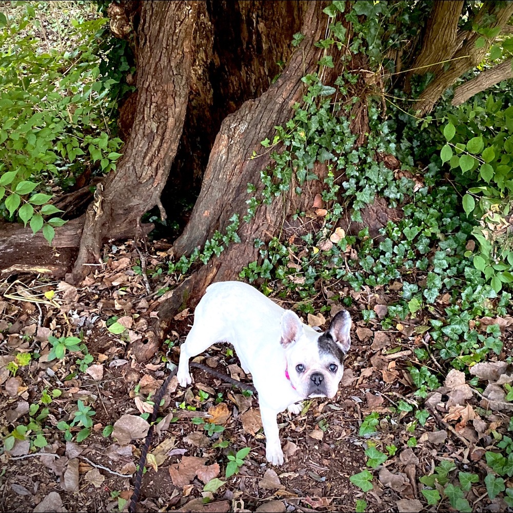 Meet your Posher, Beth